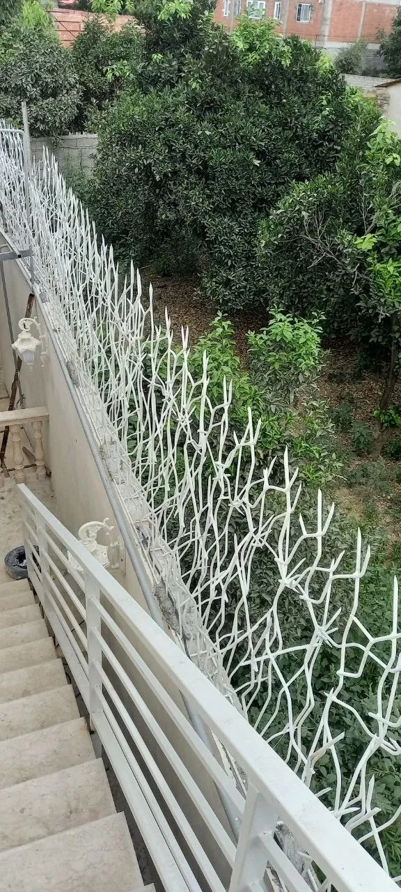 پروژه حفاظ در بابل