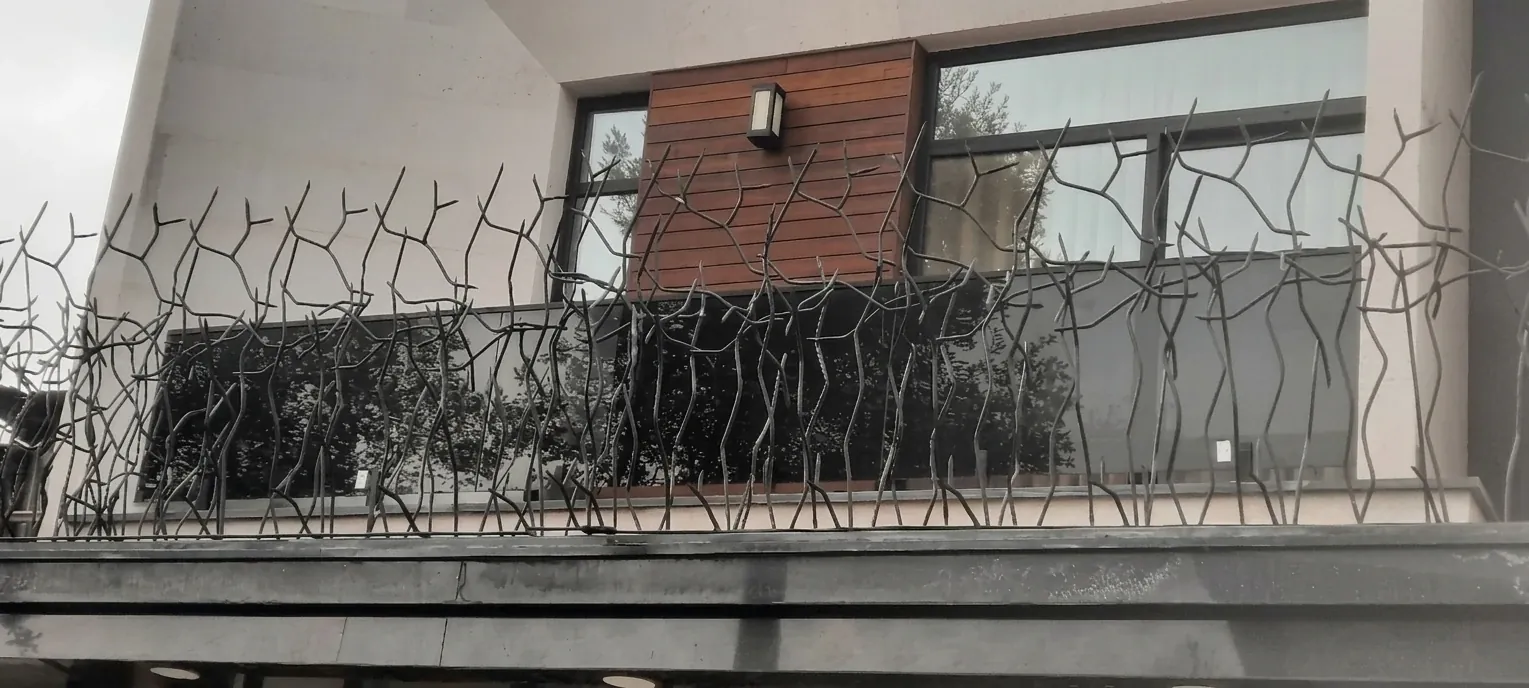 پروژه حفاظ در ساری