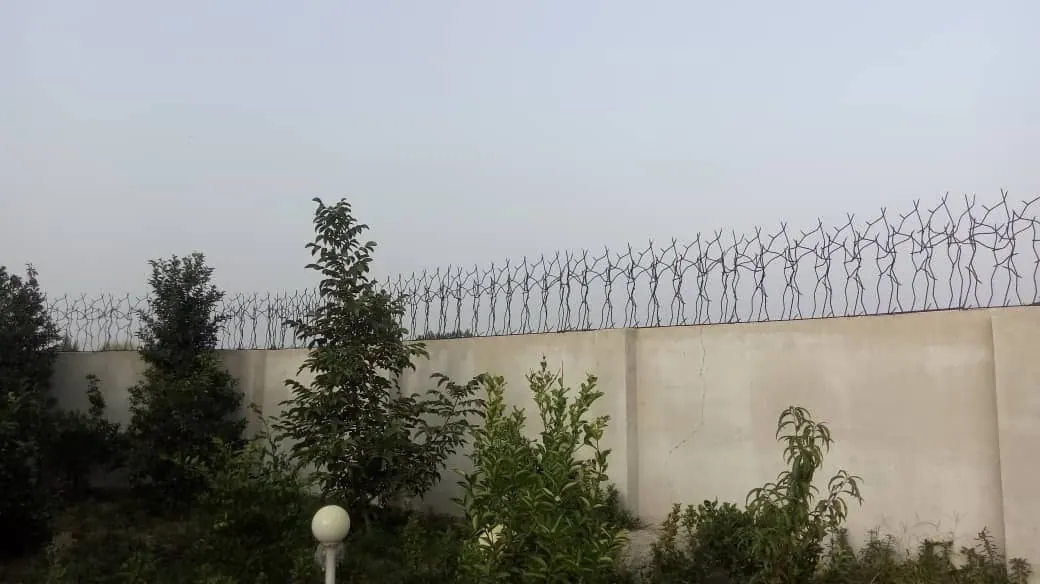 پروژه حفاظ در شیرگاه